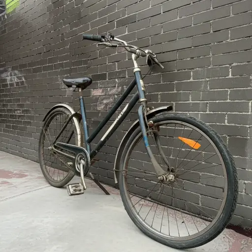 我的自行车十八年了。