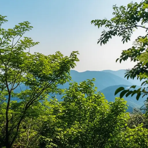 我喜欢这里温和的气候。