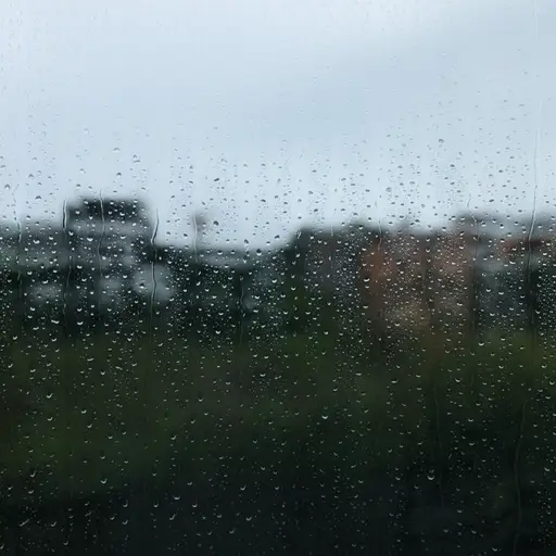 外面正下着大雨。