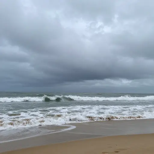 在所有事情之上，天气很糟糕，海水太冷了我不能游泳。