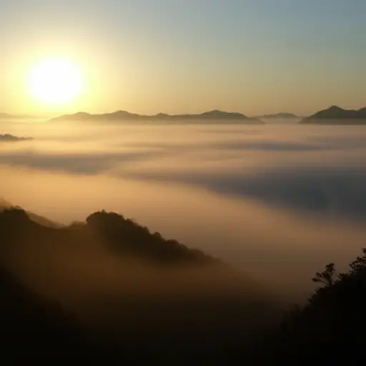我喜欢太阳下山前那薄薄的雾气。