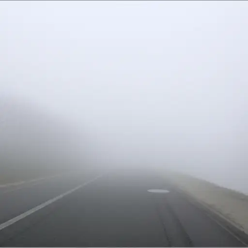 浓雾让人无法看清前方的道路。