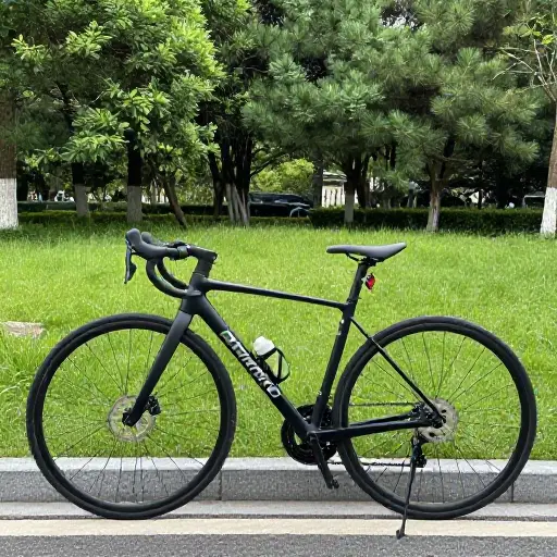 这辆自行车是正品Shimano自行车。
