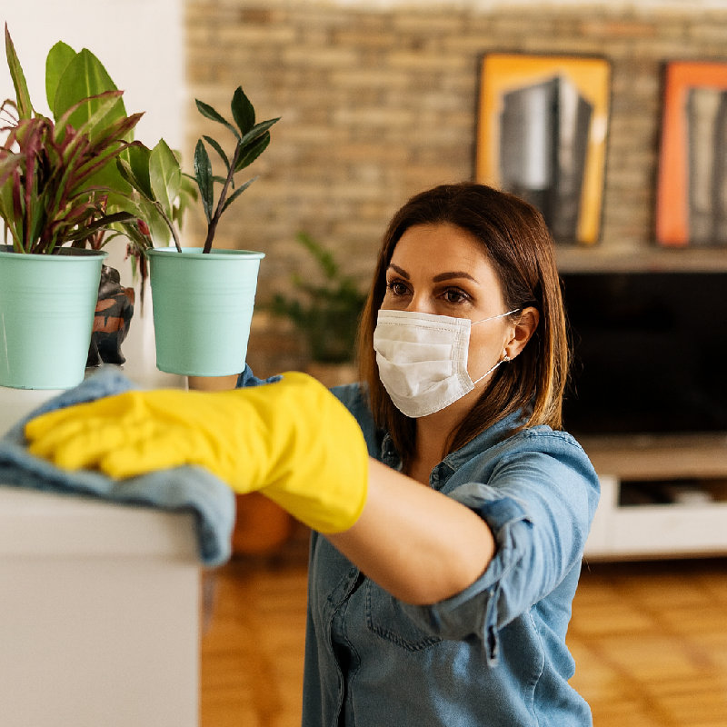 每当我打扫房间，尘土让我的鼻子感到痒。