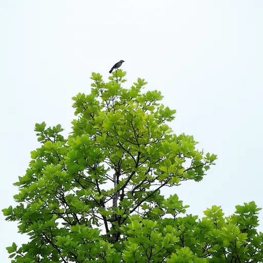 看树上的那只鸟在那里。
