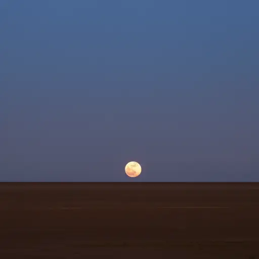 月亮从地平线上升起。