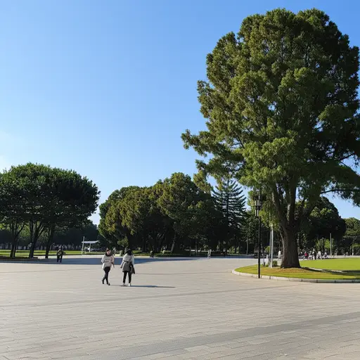 公园里只有几个人。