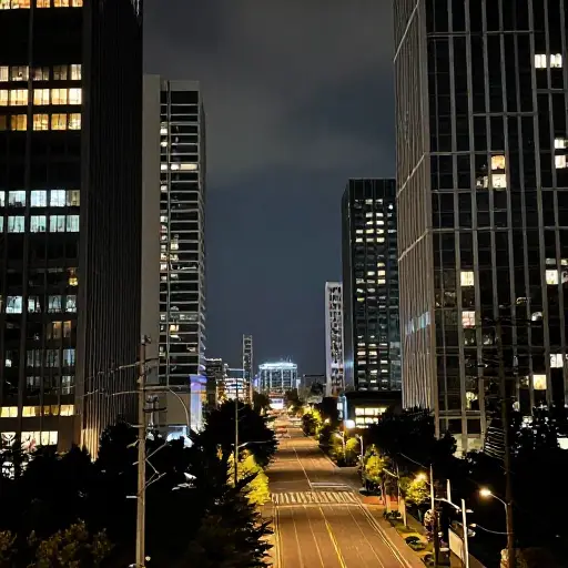 这座城市通过现代化的电网为家庭供电。