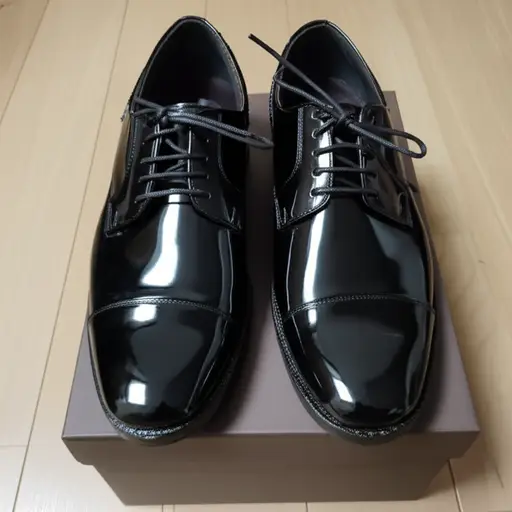 他买了一双闪亮的黑鞋子。