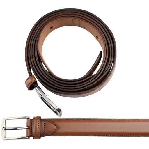 这条棕色皮带和我的鞋子很配。