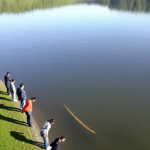 当他们看向湖中时，他们看到了一根长长的金条。