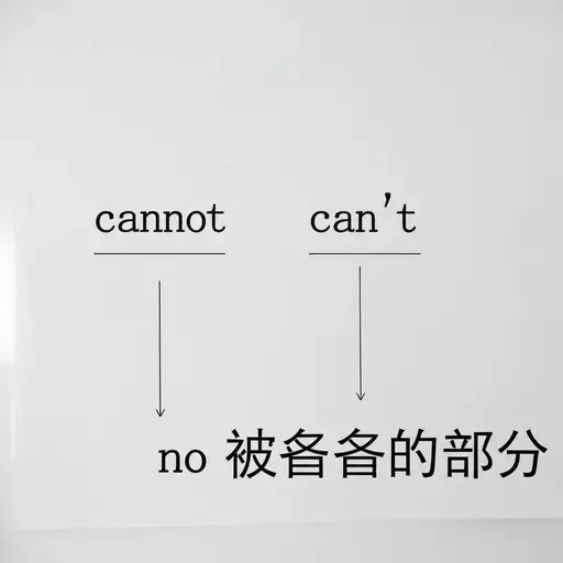在“can't”中使用的撇号表示“cannot”中省略了“no”。