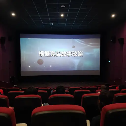 这部电影是基于一个真实的故事。