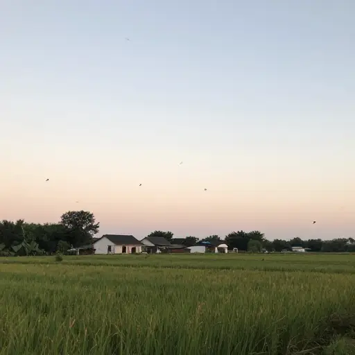 乡村里有很多蚊子。