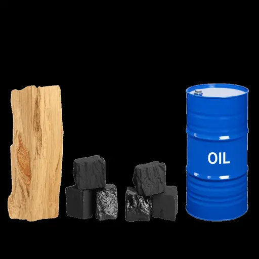 木材、煤炭、石油和天然气都是不同种类的燃料。