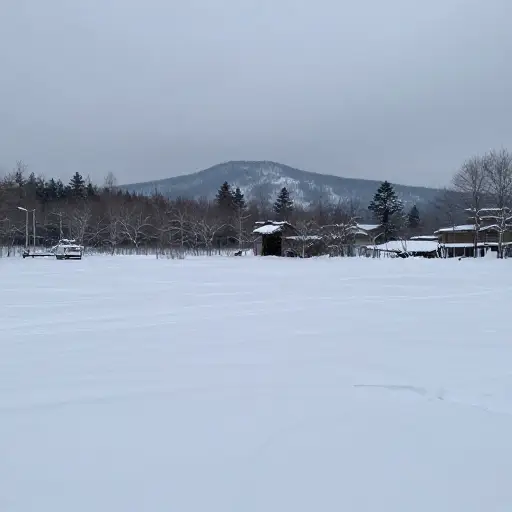 如果温度保持在冰点以下，雪很可能会沉降并形成坚固的一层。