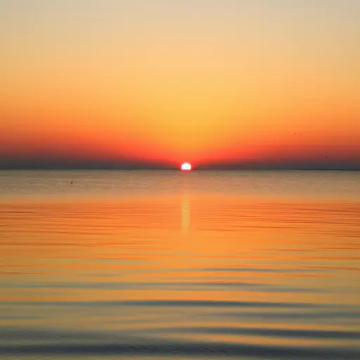 我们欣赏着太阳落山时海上的景色。