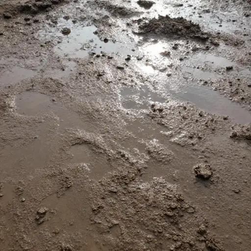 雨后地面变硬了。