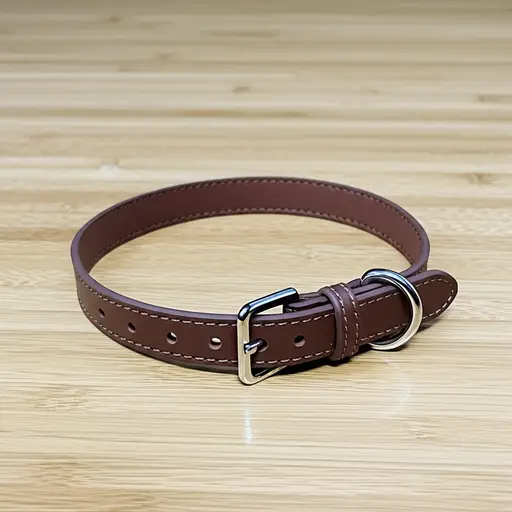 一个狗项圈