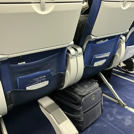 请确保您的随身行李能放在座位下方。