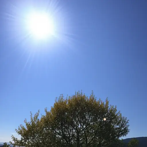 天气很好，阳光明媚。