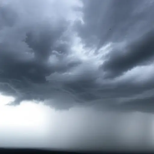 预计明天会下雨。