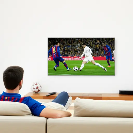 你看电视上的比赛了吗？是巴塞罗那对皇家马德里。