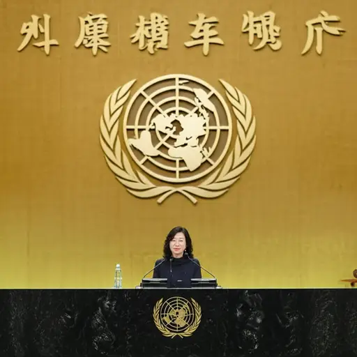 她主要以对人权的奉献而闻名。