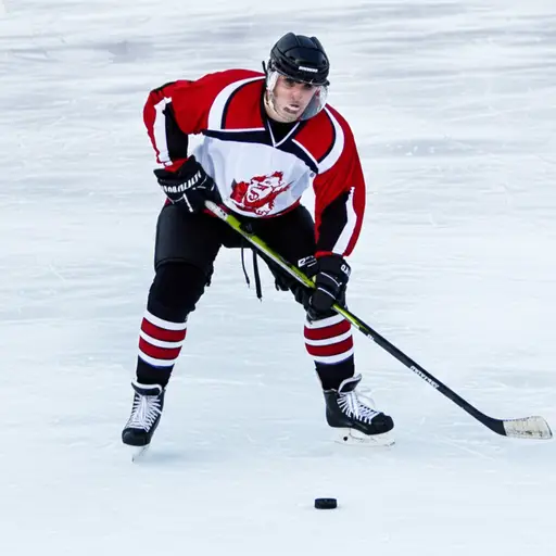 你需要一根球棍来打冰球。