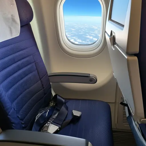 飞行期间请系好您的安全带。