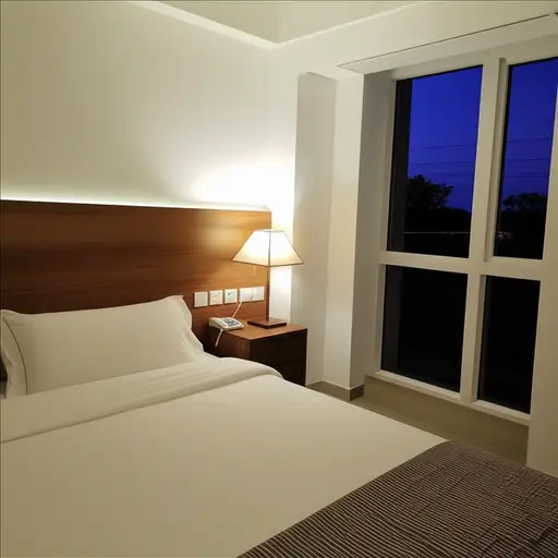 如果你想的话，可以过夜。