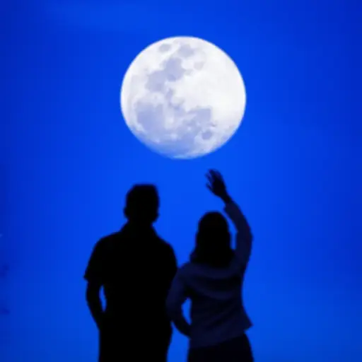 我们凝视着月亮。