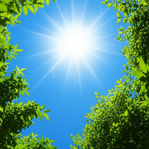 天气晴朗，微风清新。