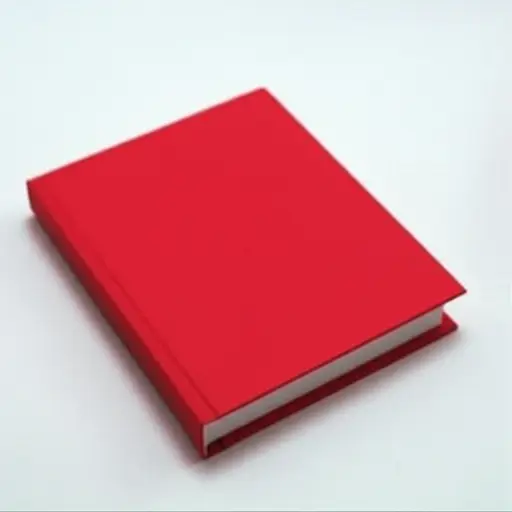 这个红色的书包是她的。