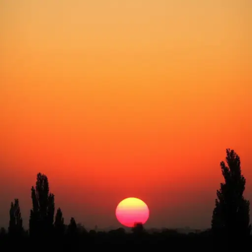 太阳从东方升起。