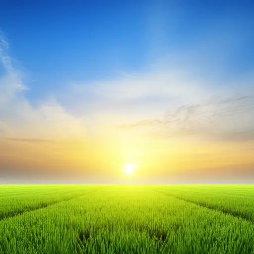 夏天早晨天亮得很早。