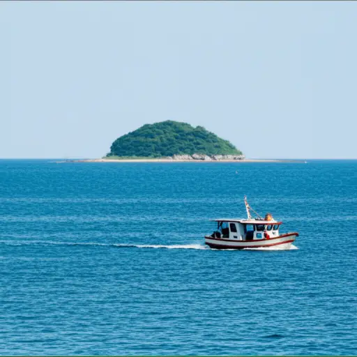 我们乘船去那个岛。