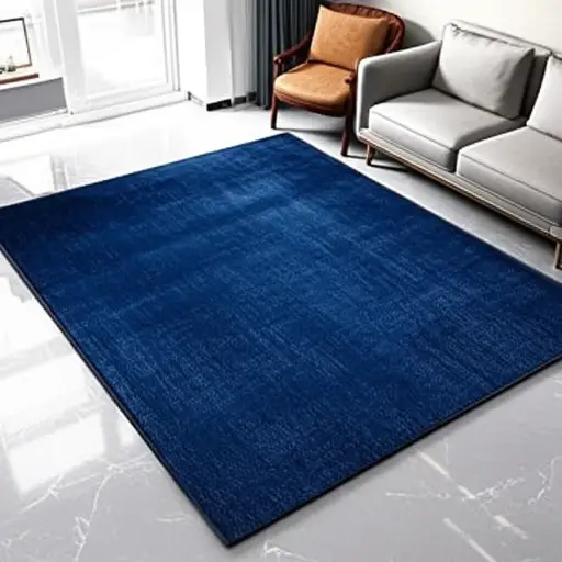我想我会为我的客厅买一张海军蓝色的地毯。