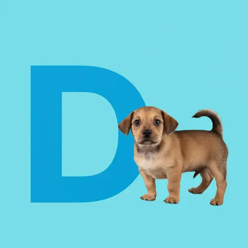 单词'dog'以辅音字母'd'开头。