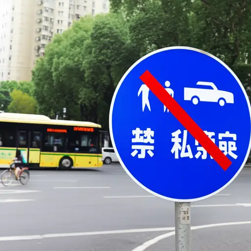 我个人认为，在城市的主要区域驾驶私家车应该被禁止。