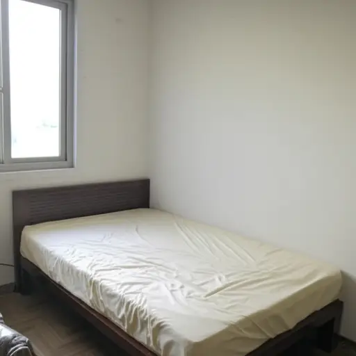 我的床在房间的这一边。