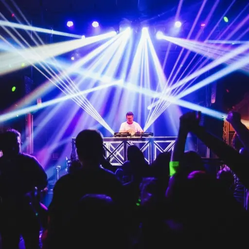 那位唱片骑师在派对上播放了我所有最喜欢的歌曲。