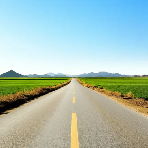 这条路通向北方。