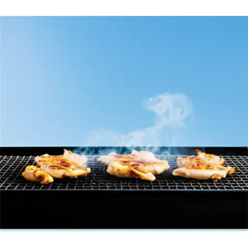 我推荐烤架上的鸡肉。