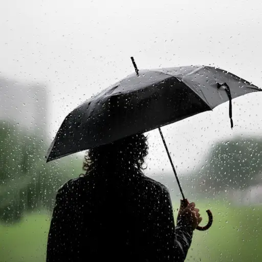 别忘了带伞，今天会是潮湿的天气。