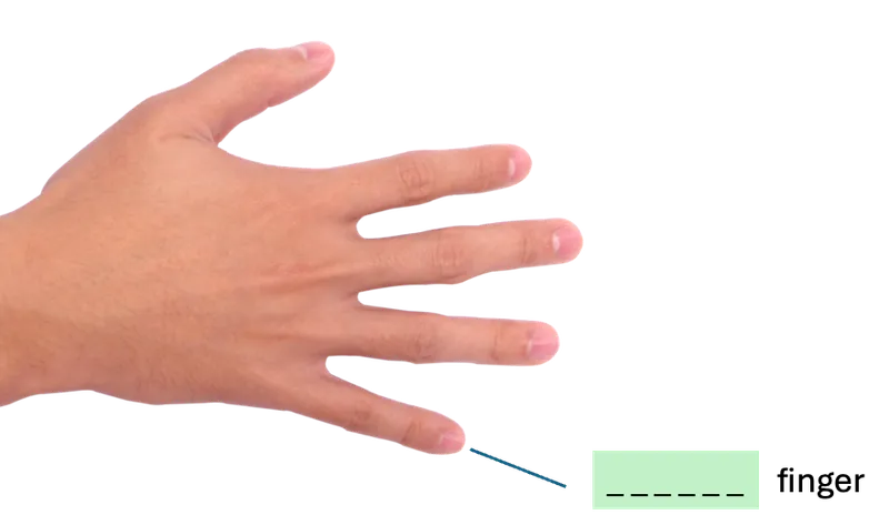 小指