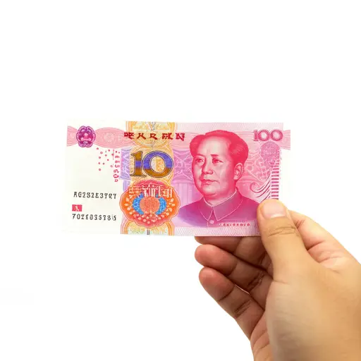 我只有十块钱。