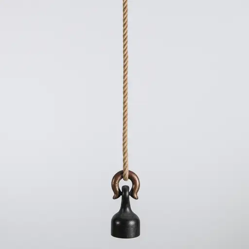 这根绳子足够结实，可以承受重物的重量。