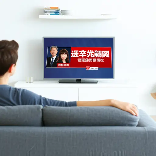 我在新闻上看到了关于选举的报道。