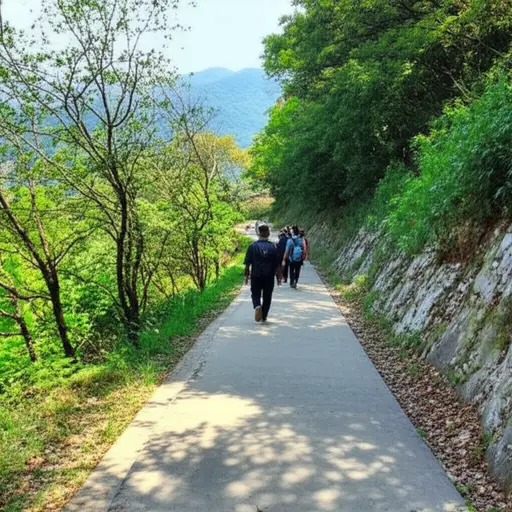 让我们走路上山吧。